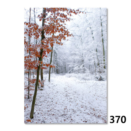 370 Winterwald