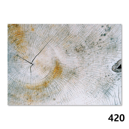 420 Holzquerschnitt