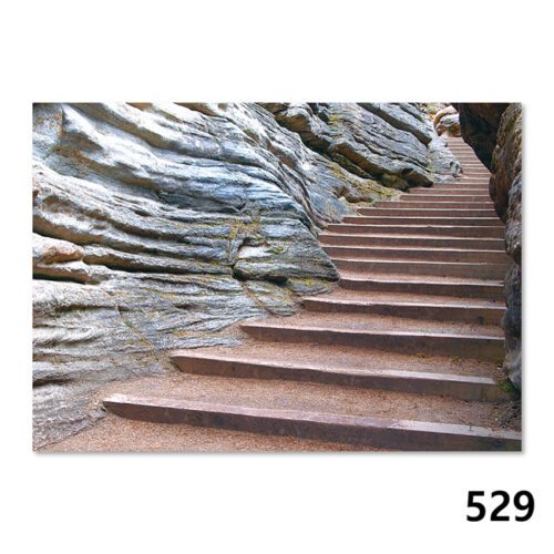 529 Treppe im Fels