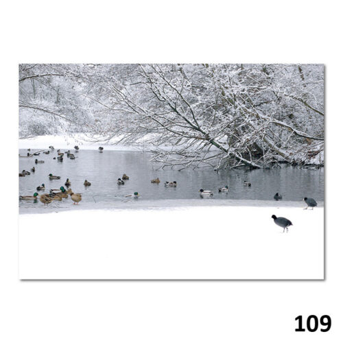 109 Winterliche Impression