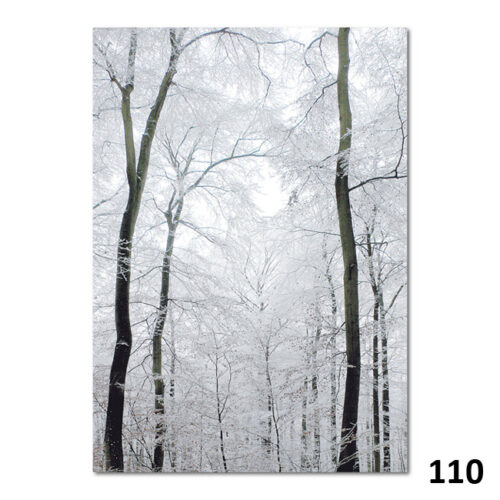 110 Winterlicher Buchenwald
