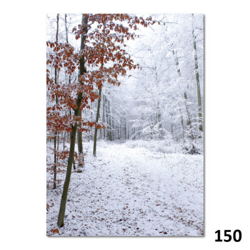 150 Verzauberter Winterwald