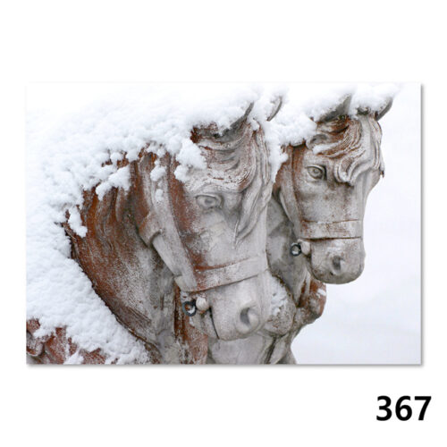 367 Winterliche Impression