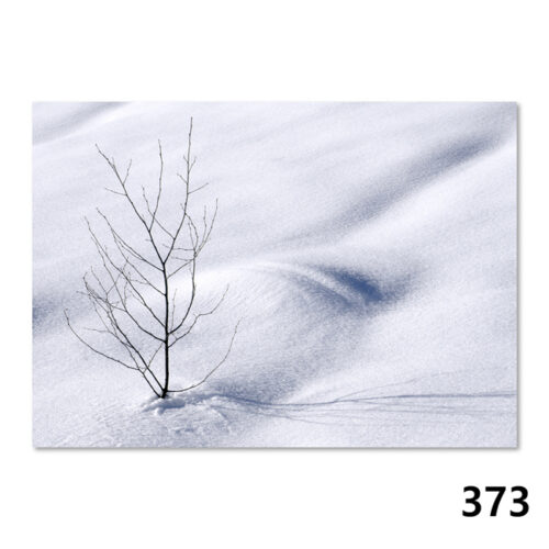 373 Winterliche Impression