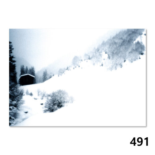 491 Winterlandschaft