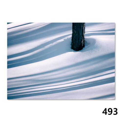 493 Winterliche Impressionen