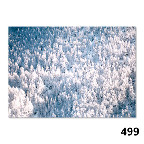 499 Winterlandschaft