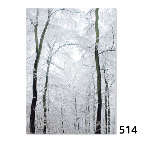 514 Winterlicher Buchenwald